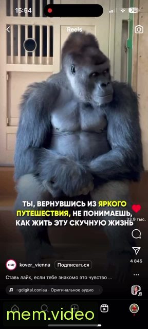 Кадр на 0:04