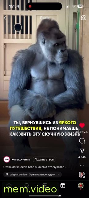 Кадр на 0:04