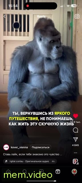 Кадр на 0:05