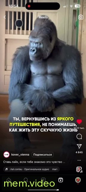 Кадр на 0:06