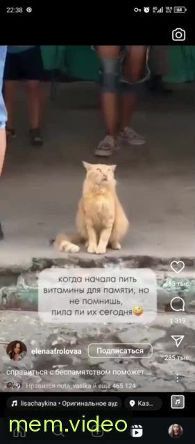 Кадр на 0:00