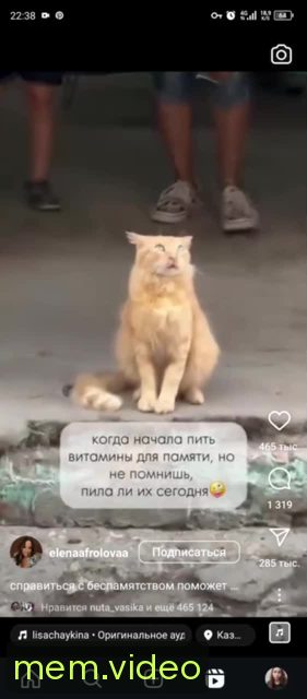 Кадр на 0:00