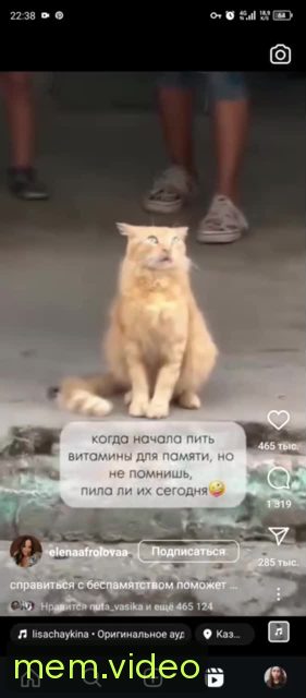 Кадр на 0:00