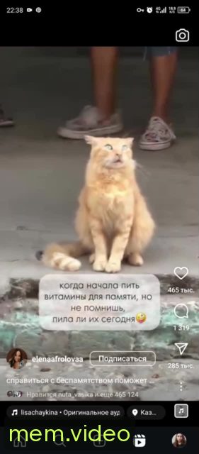 Кадр на 0:01