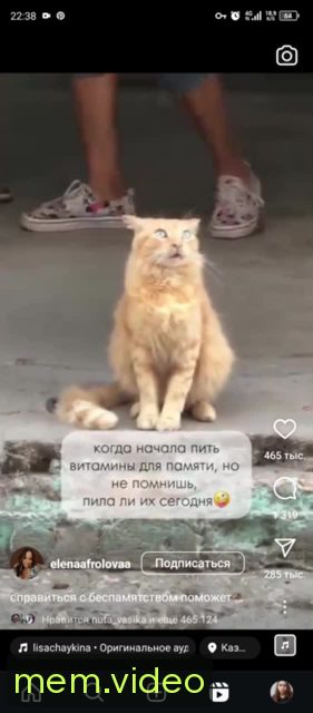 Кадр на 0:01