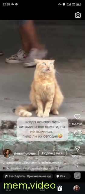 Кадр на 0:02