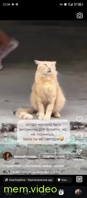 Кадр на 0:02