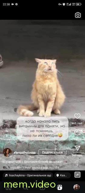 Кадр на 0:03