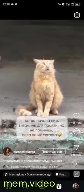 Кадр на 0:03