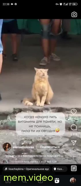 Кадр на 0:04