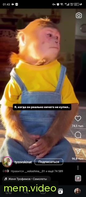 Кадр на 0:03