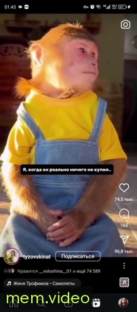 Кадр на 0:04