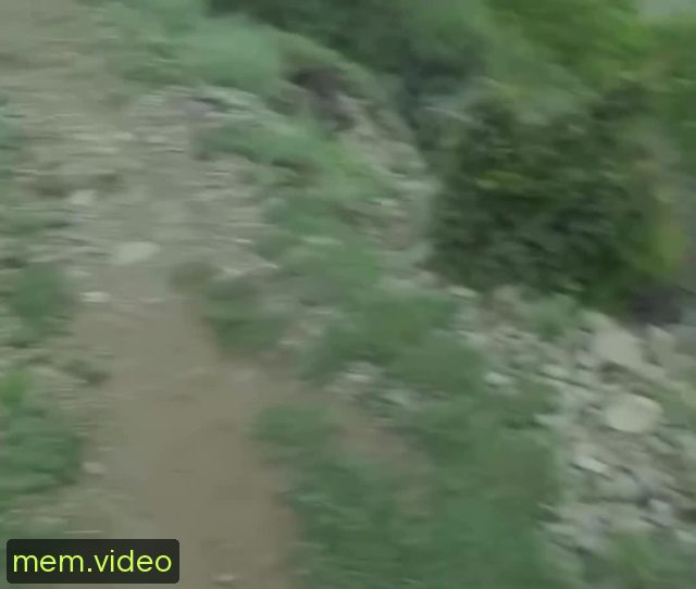 Кадр на 0:02