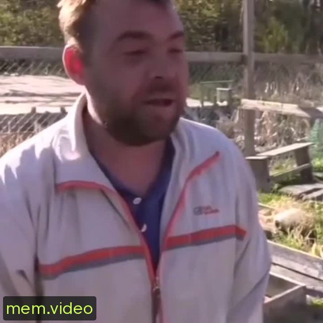 Кадр на 0:00