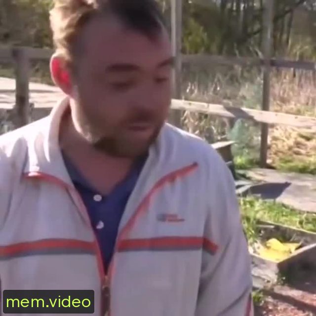 Кадр на 0:01