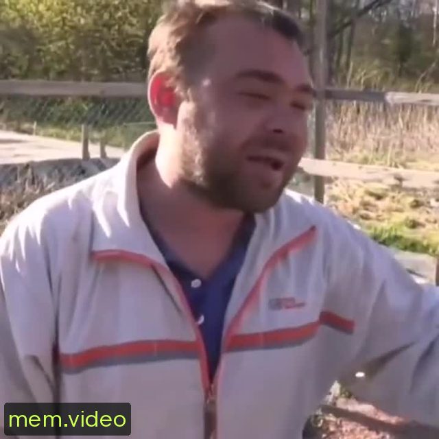Кадр на 0:02