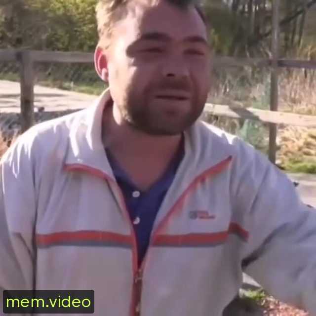 Кадр на 0:03
