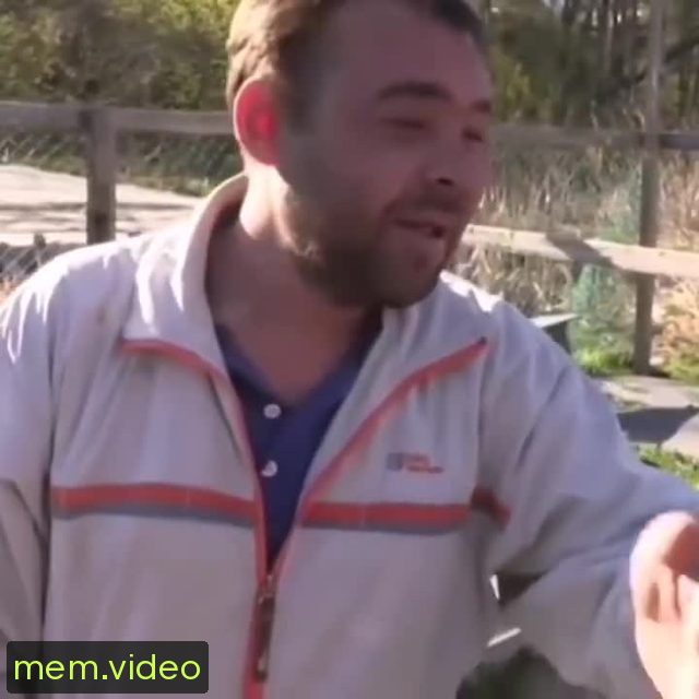 Кадр на 0:04