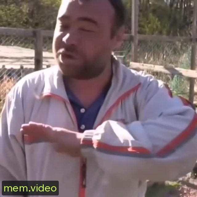 Кадр на 0:04