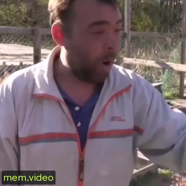 Кадр на 0:05