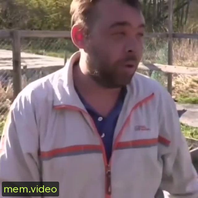 Кадр на 0:05