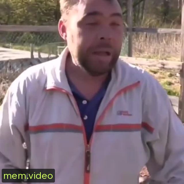 Кадр на 0:06
