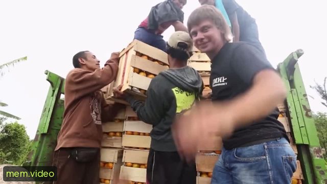 Кадр на 0:01