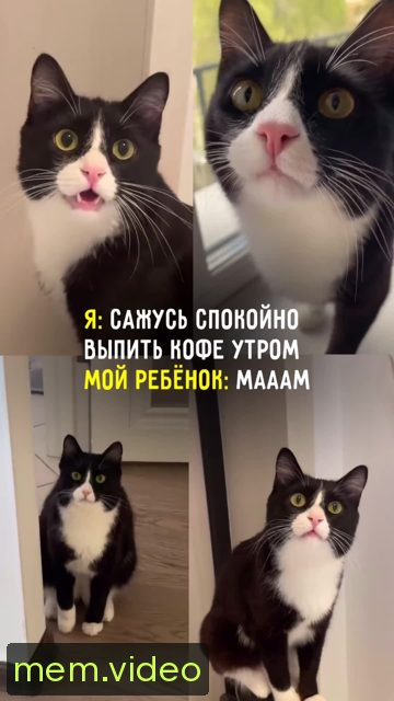 Кадр на 0:01