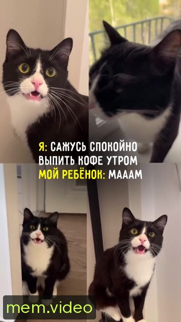Кадр на 0:02