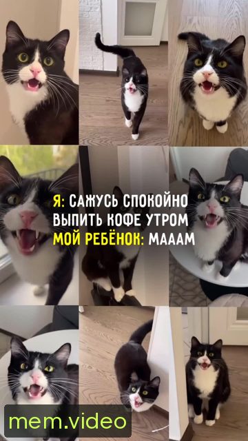 Кадр на 0:03