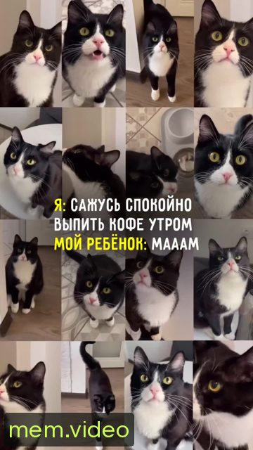 Кадр на 0:04