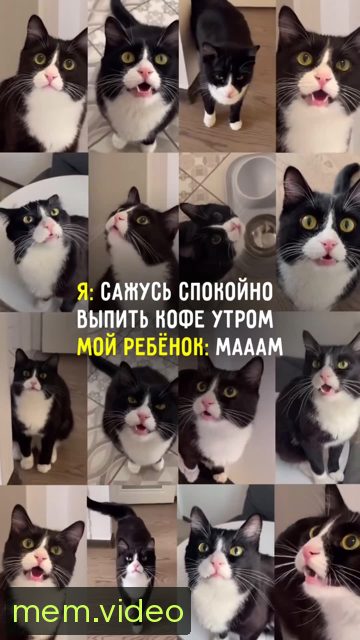 Кадр на 0:05