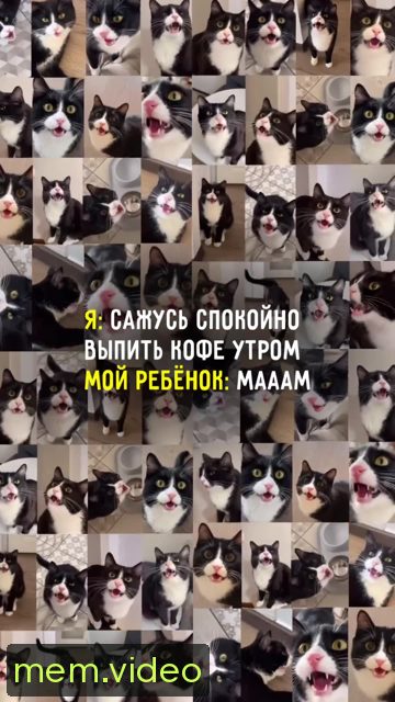 Кадр на 0:06