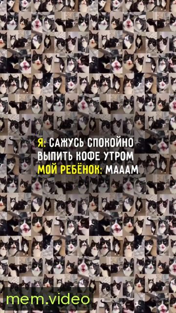 Кадр на 0:08