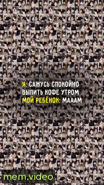 Кадр на 0:09