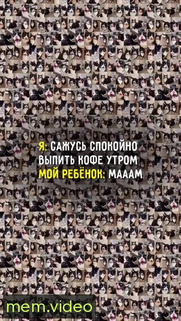 Кадр на 0:10