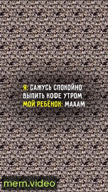 Кадр на 0:11