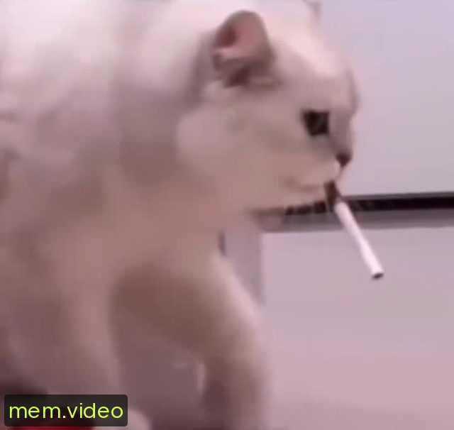 Кадр на 0:01