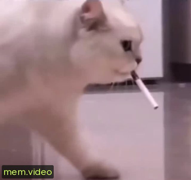 Кадр на 0:01