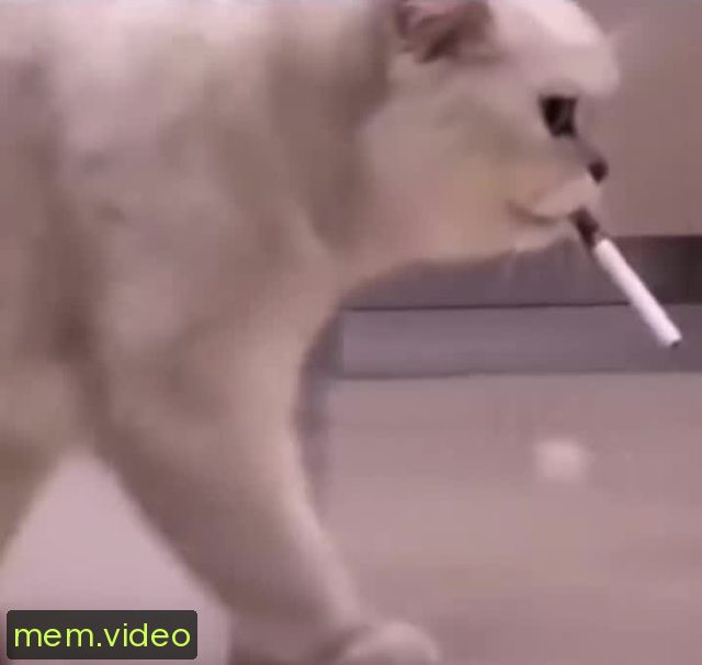 Кадр на 0:01
