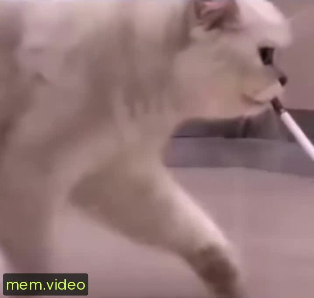 Кадр на 0:02