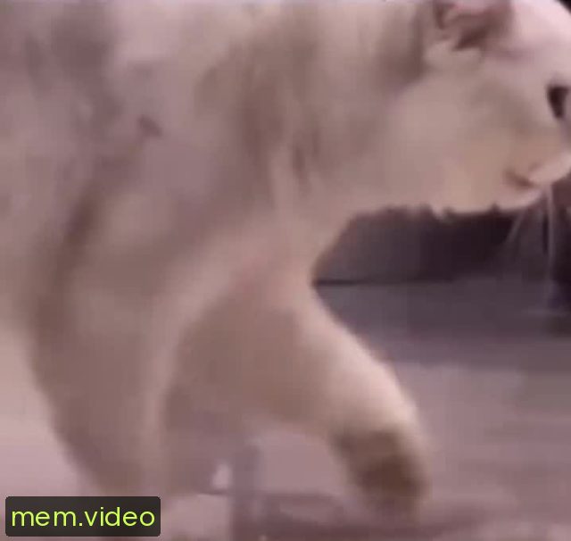 Кадр на 0:02