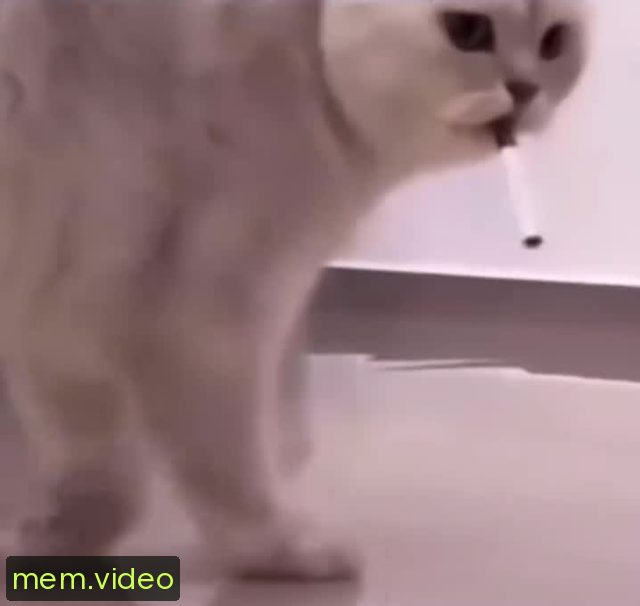 Кадр на 0:03