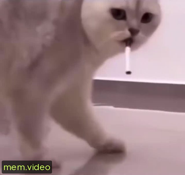 Кадр на 0:03