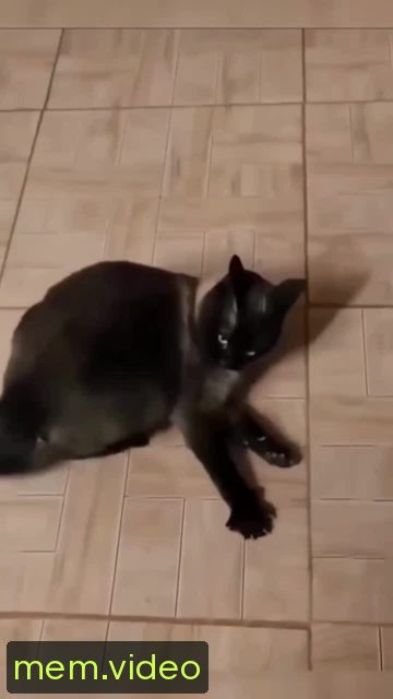 Кадр на 0:01