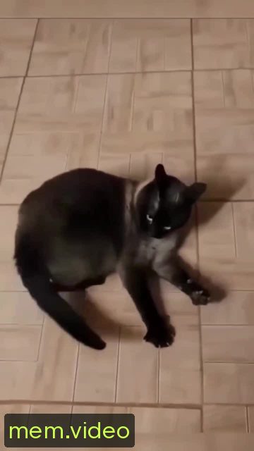 Кадр на 0:01