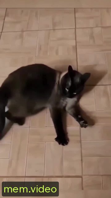 Кадр на 0:01