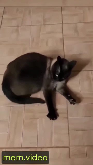 Кадр на 0:02