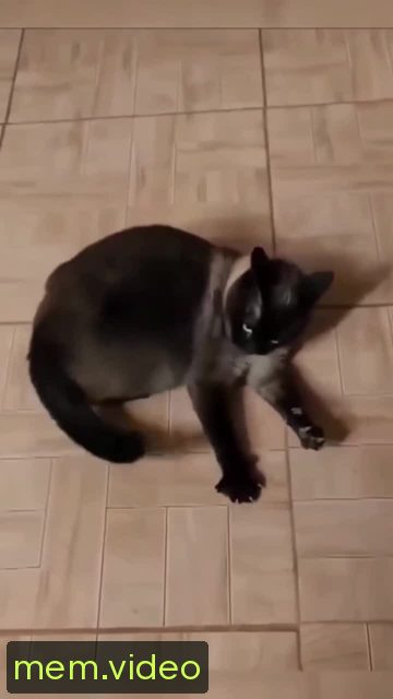 Кадр на 0:02
