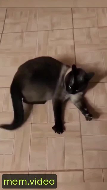 Кадр на 0:02